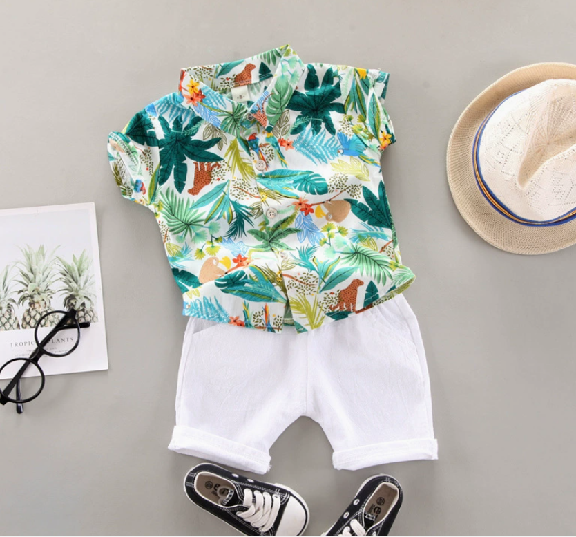 Conjunto Caribe Verde